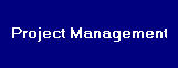 Experienced IT Project Management